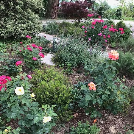 Casa Rita, Charming House With Pool,