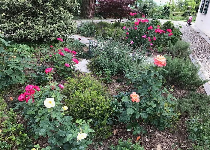 Casa Rita, Charming House With Pool,